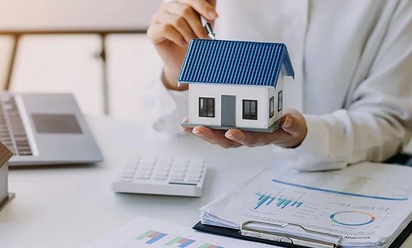 Real Estate CMS Development Mangalore